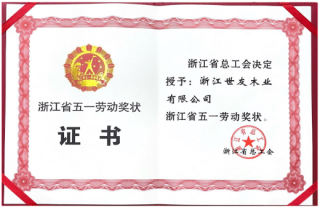 全省表彰 再啟征程 | 世友木業(yè)榮獲“浙江省五一勞動獎(jiǎng)狀”